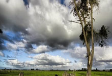 乐动体育-举重赛场再起风云：姑苏鲨队队小胜雪域独角兽队，脚步移动更到位二次进攻频频奏效(赛场上一向沉着自信的壮壮这次)